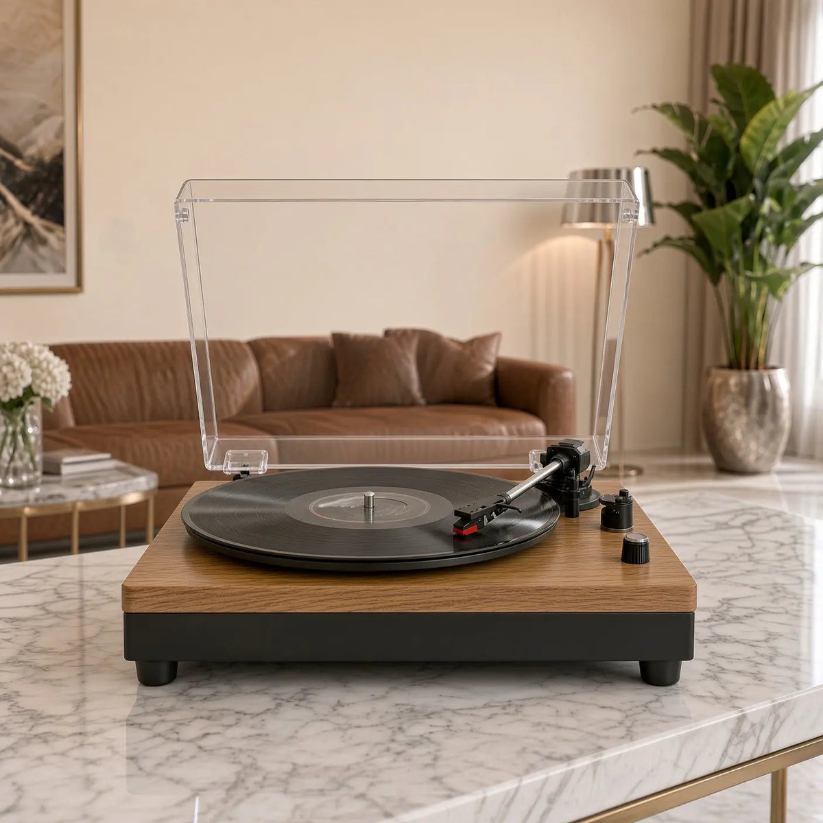 Platine Vinyle Opale Vinyle Audio