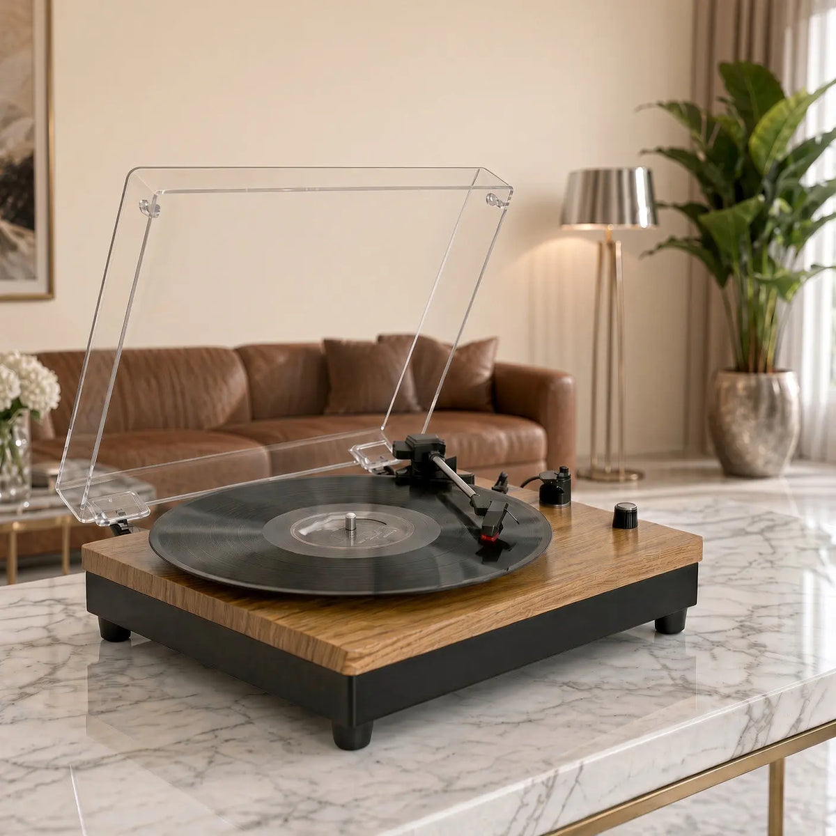 Platine Vinyle Opale Vinyle Audio