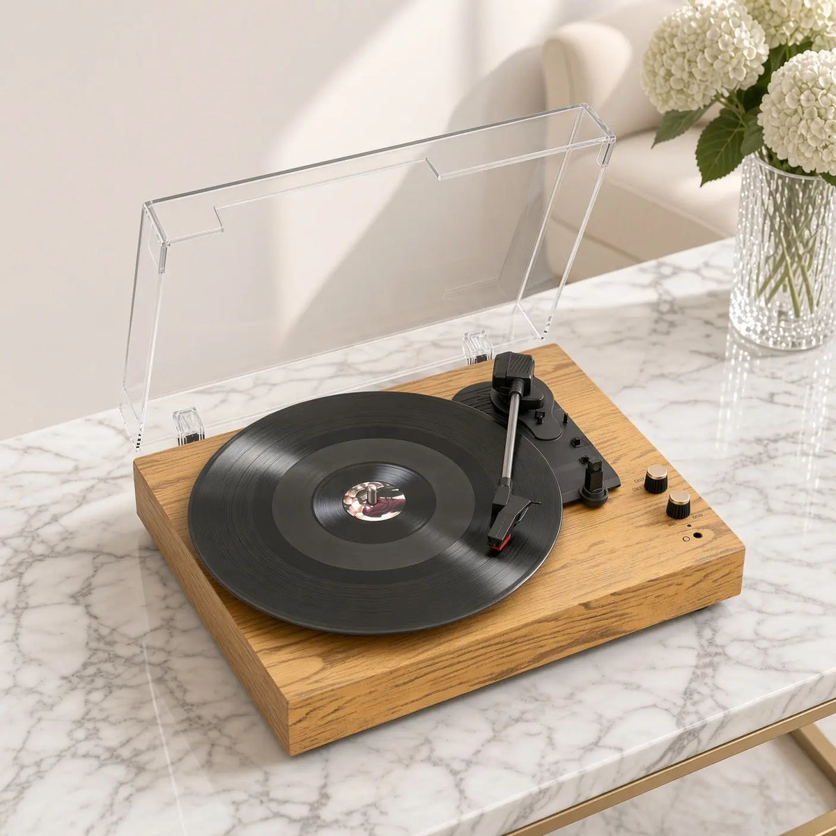 Platine Vinyle Chêne Vinyle Audio