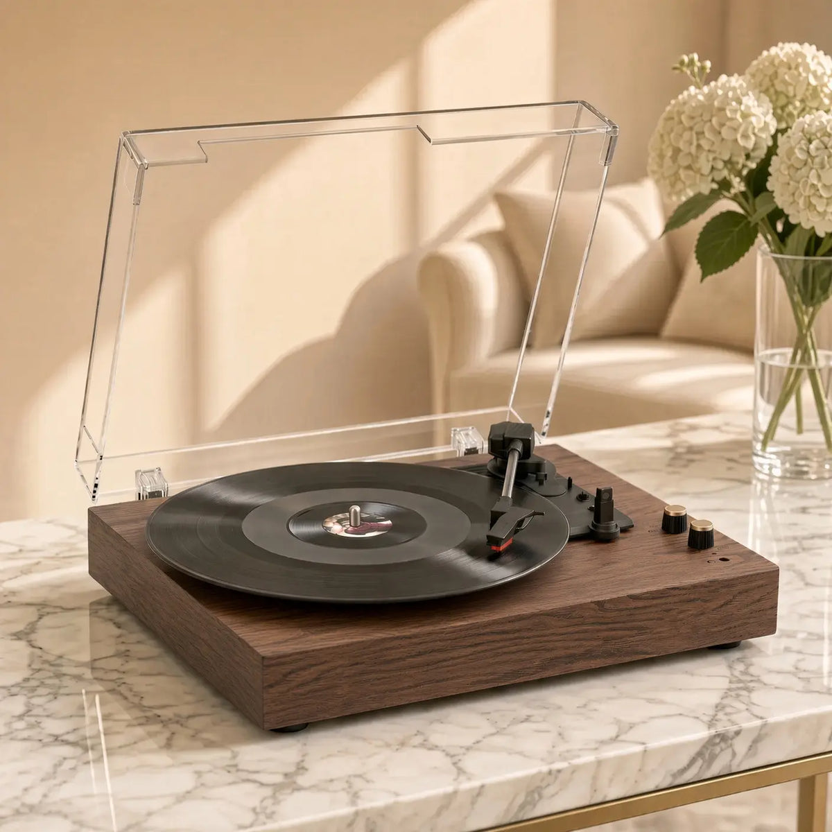 Platine Vinyle Chêne Vinyle Audio