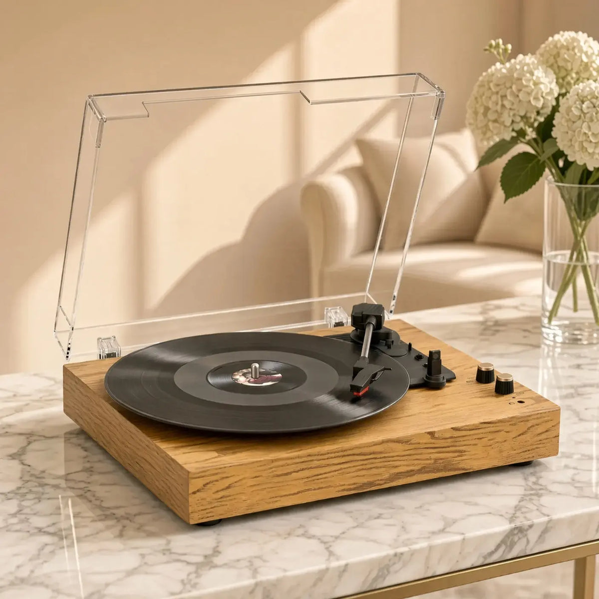 Platine Vinyle Chêne Vinyle Audio