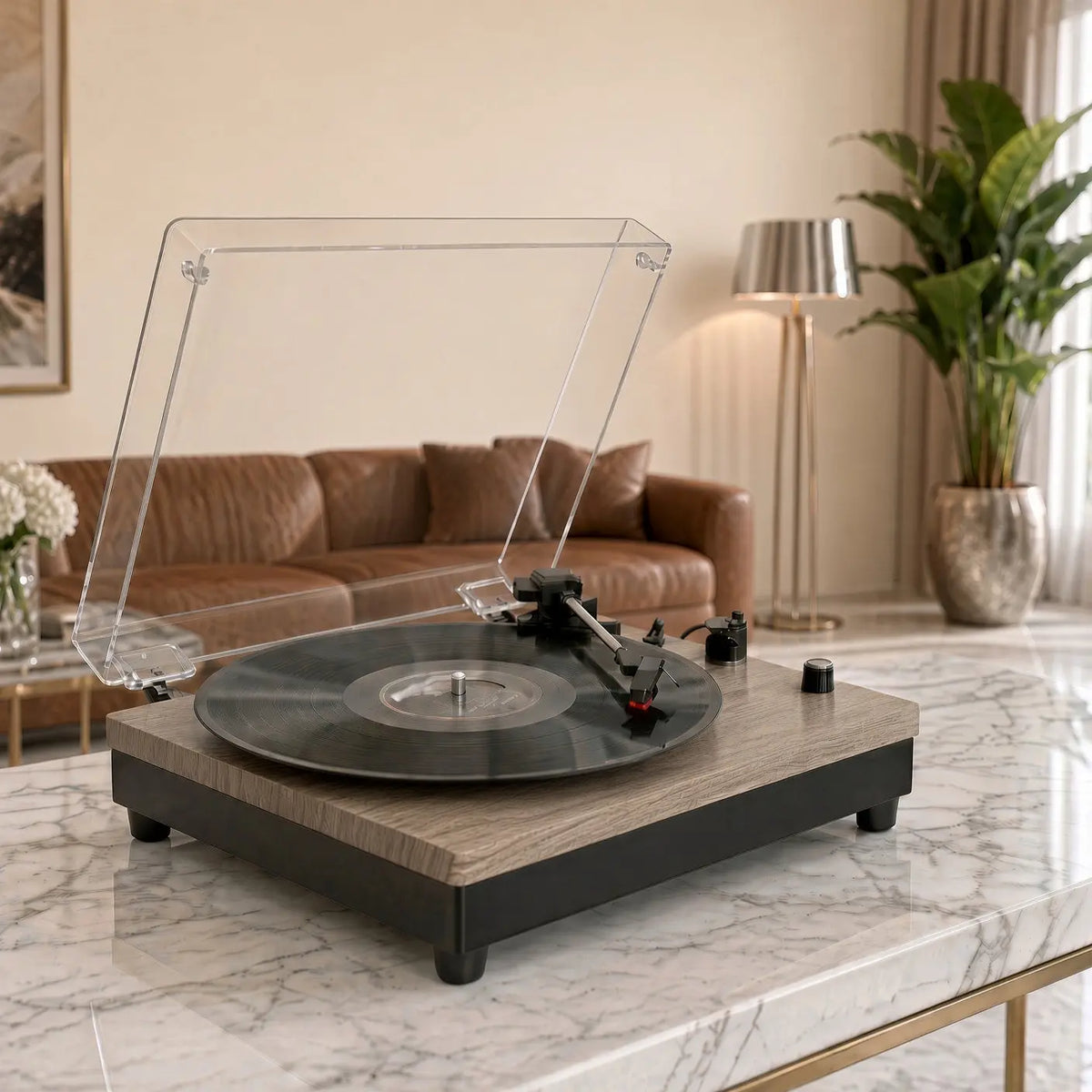 Platine Vinyle Opale Vinyle Audio