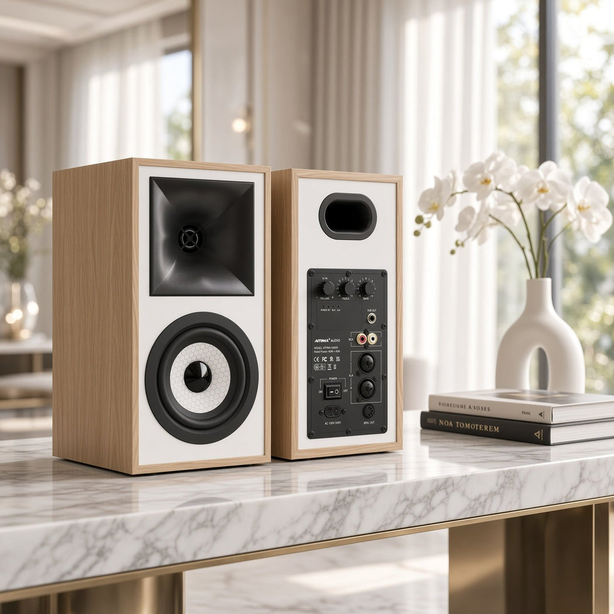 Enceinte active Sonata 80W, face arrière avec entrées RCA, XLR et sortie caisson